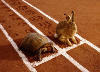 Câu chuyện Rùa và Thỏ “tân thời" - bài học trong kinh doanh