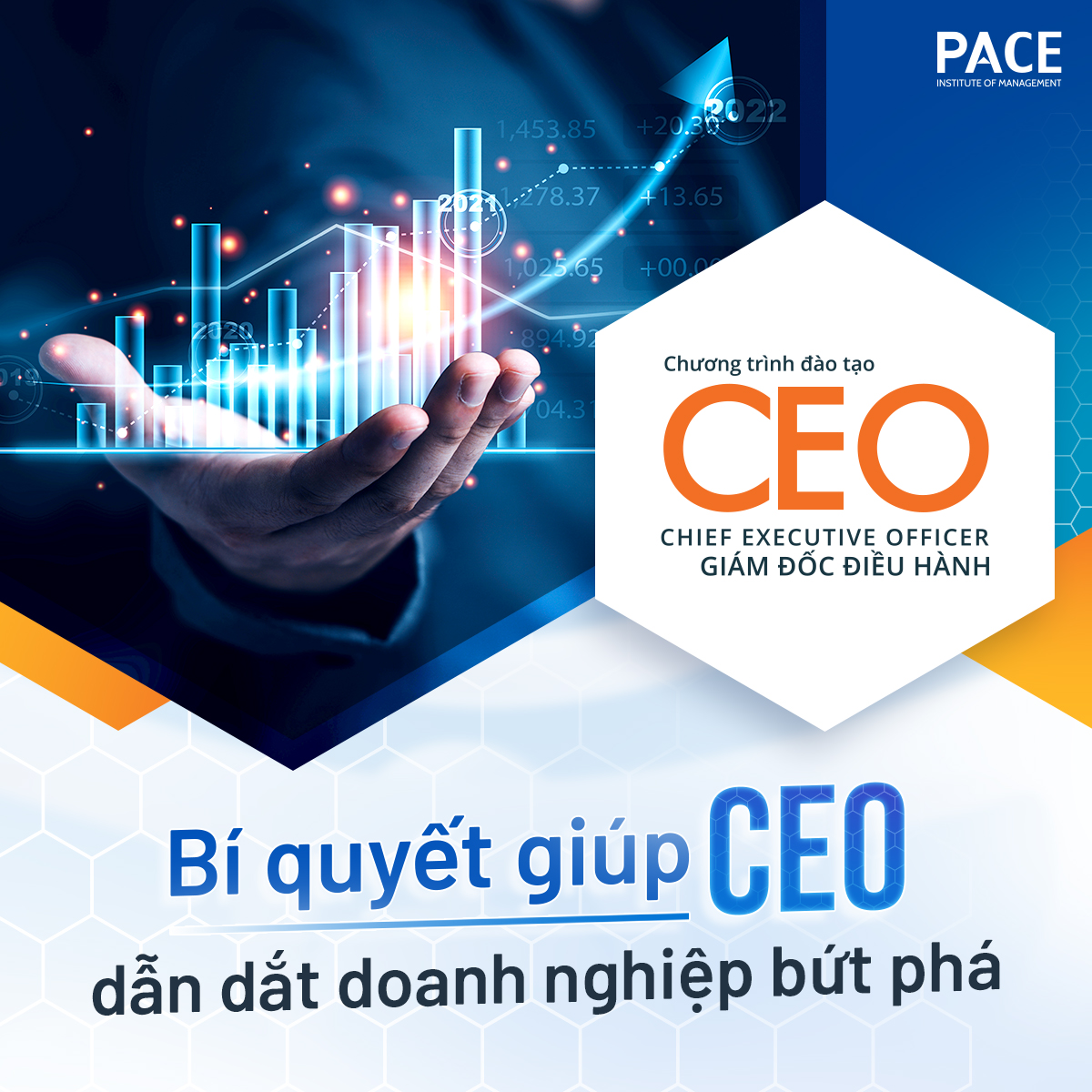 Khóa học Giám đốc điều hành - CEO