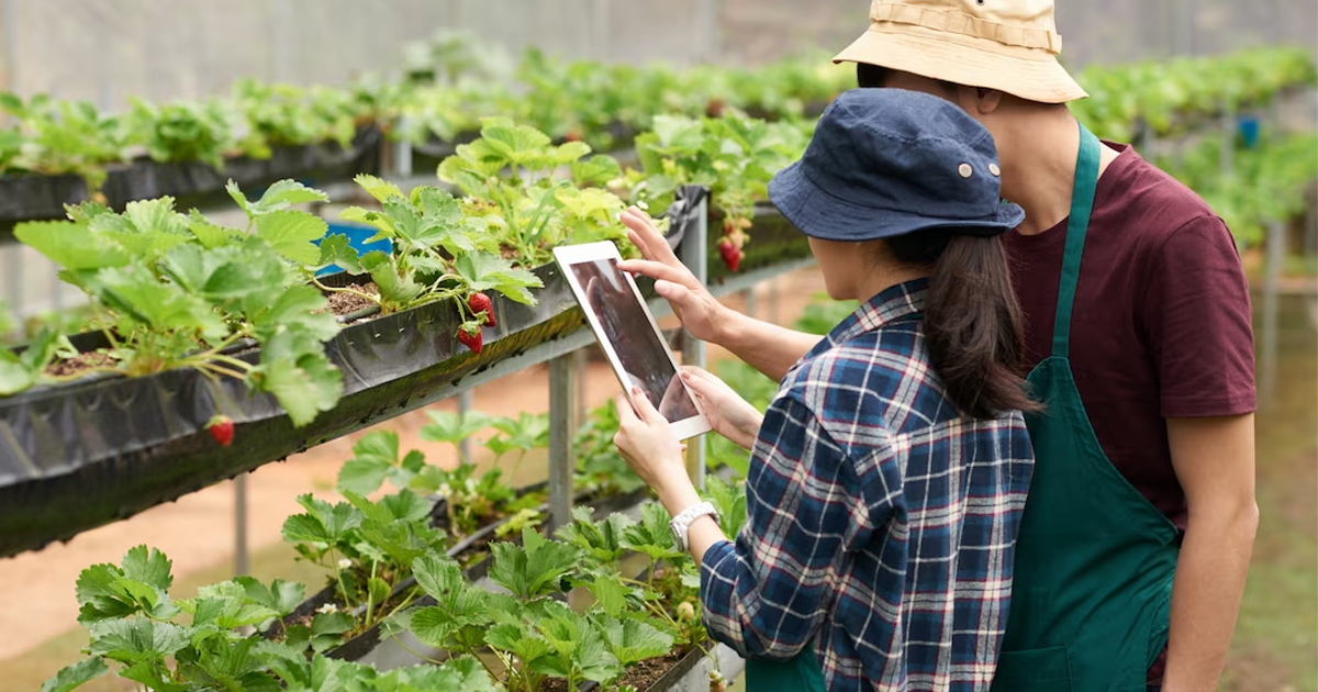 Thực trạng trong chuyển đổi số ngành nông nghiệp hiện nay