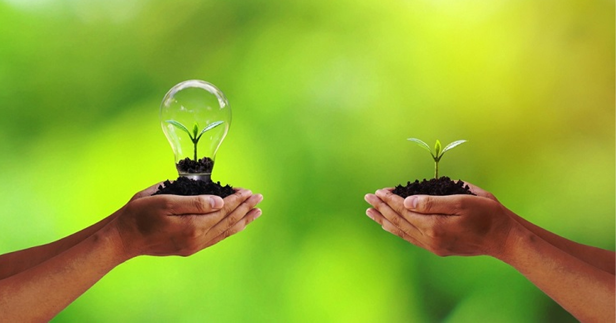 Môi trường xanh là gì? Giải pháp bảo vệ môi trường xanh