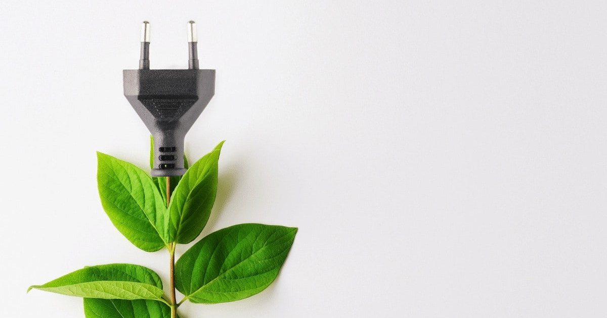 Sống xanh là gì? Lối sống xanh vì tương lai bền vững