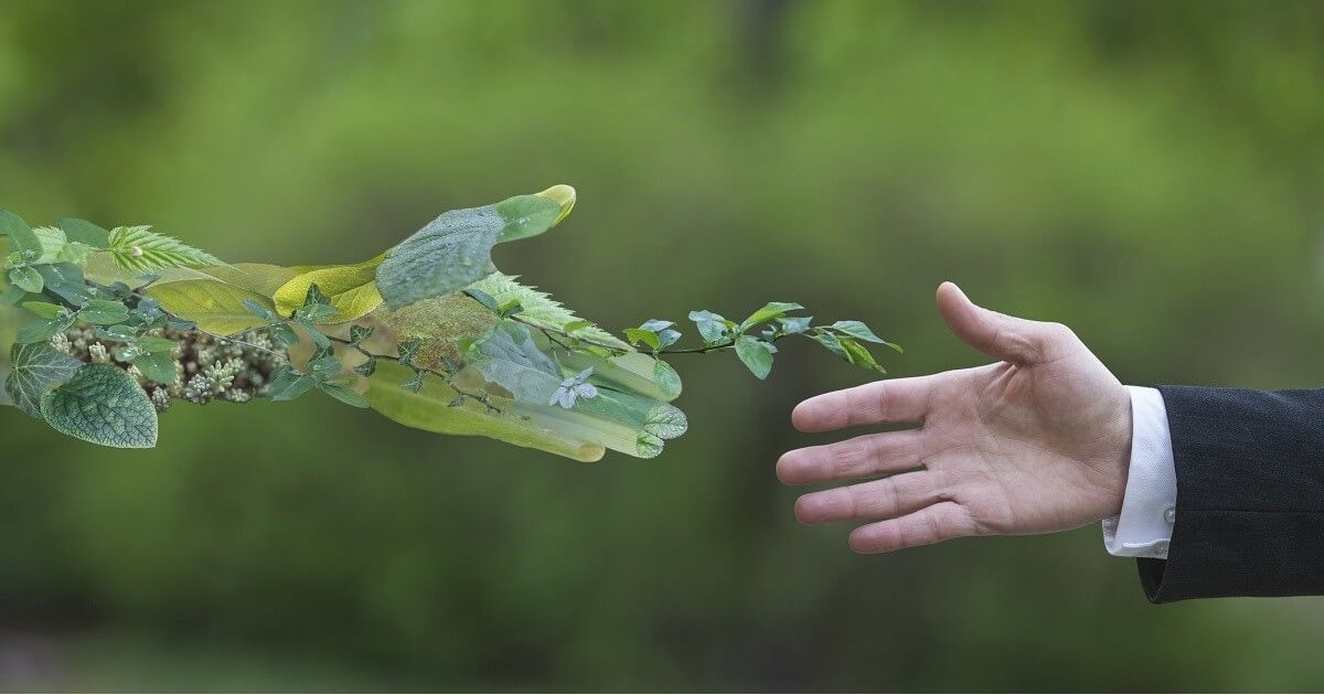 xu hướng phát triển bền vững