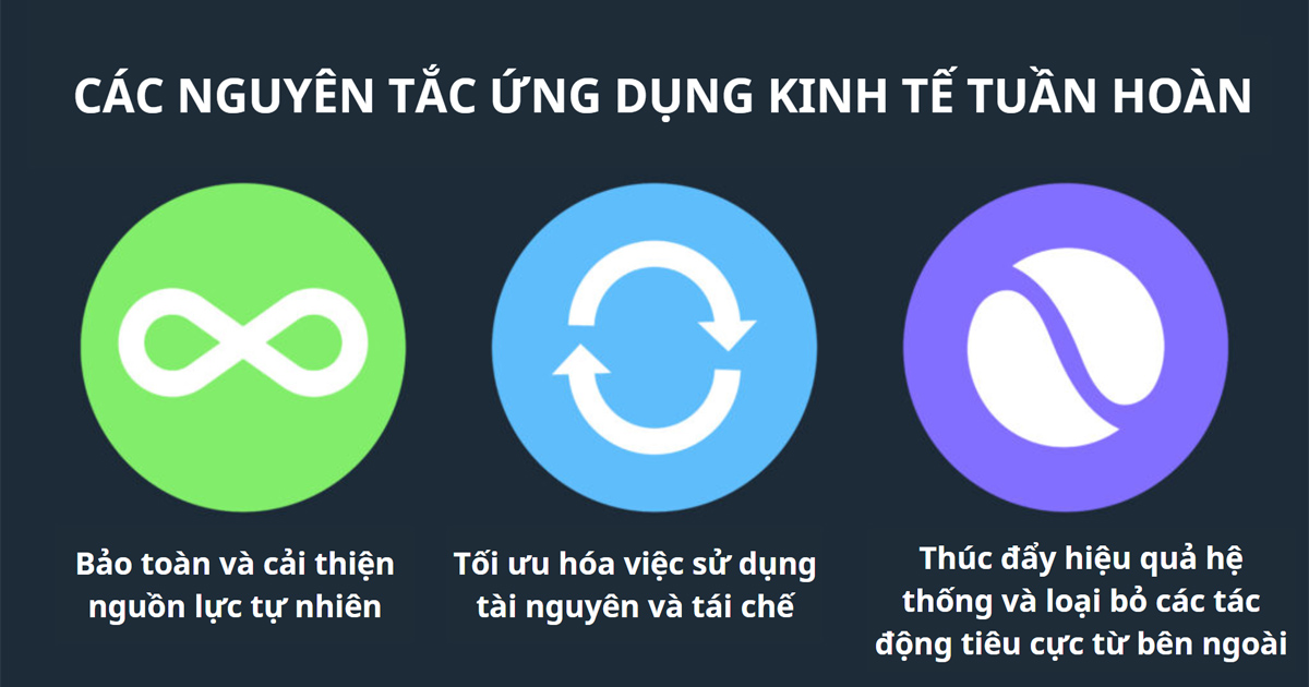 nguyên tắc kinh tế tuần hoàn