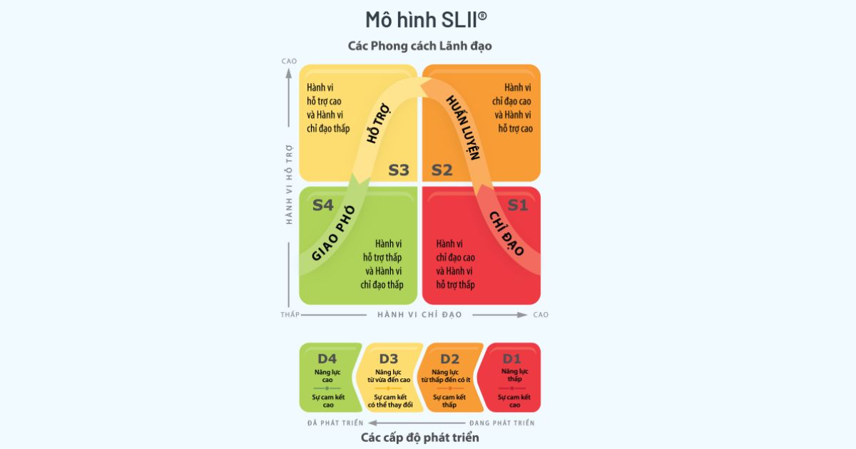 Lãnh đạo Linh hoạt với Mô hình SLII