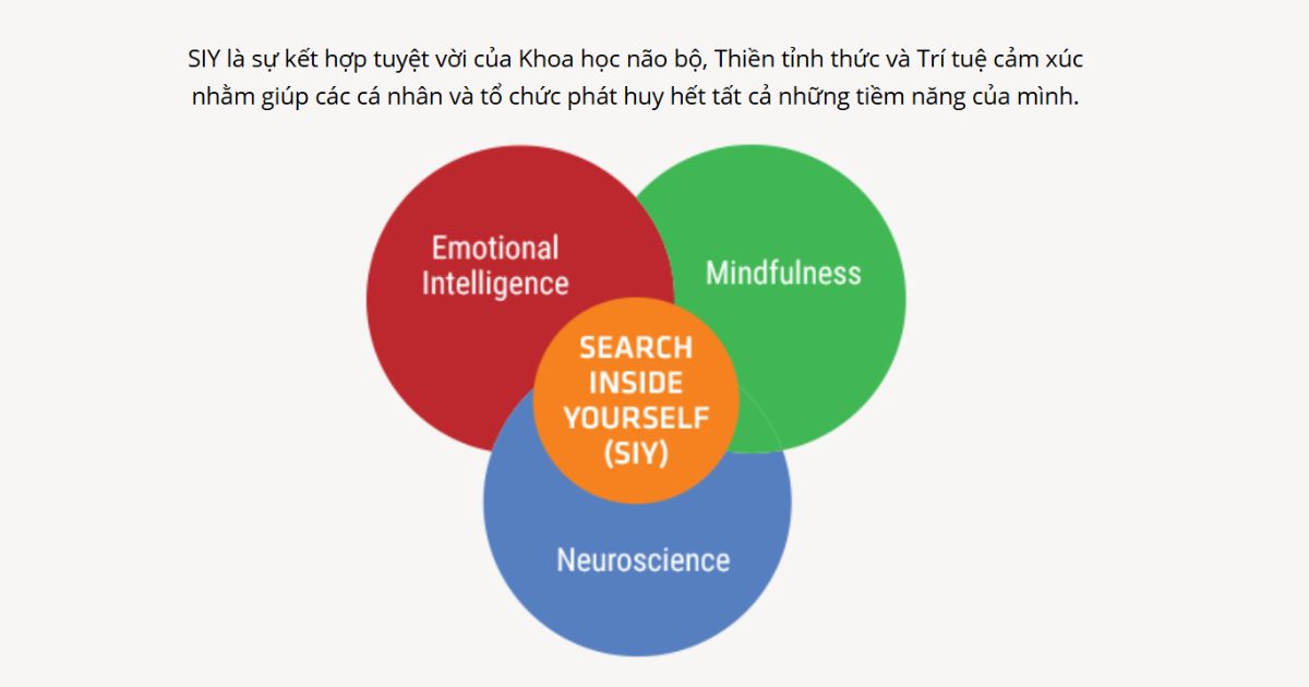 Lãnh đạo với Trí tuệ cảm xúc (Search Inside Yourself)